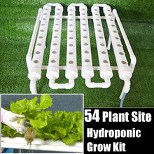 Load image into Gallery viewer, Hydroponic Grow Kits
