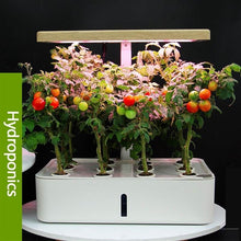 Load image into Gallery viewer, MROSSA Hydroponic Systems
