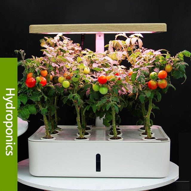 MROSSA Hydroponic Systems