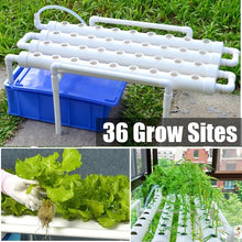 Load image into Gallery viewer, Hydroponic Grow Kits
