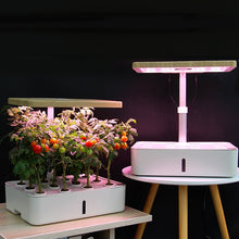 Load image into Gallery viewer, MROSSA Hydroponic Systems
