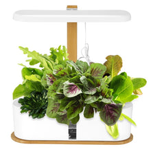 Load image into Gallery viewer, Hydroponic Germination System
